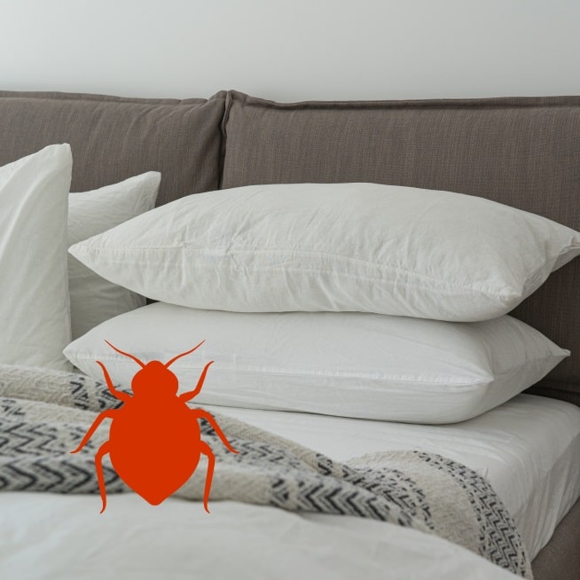 Photo d'un lit avec une image de punaise de lit par dessus